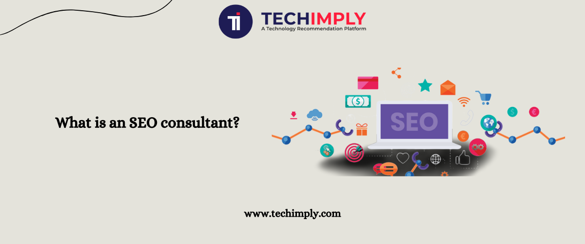 What is an SEO consultant?